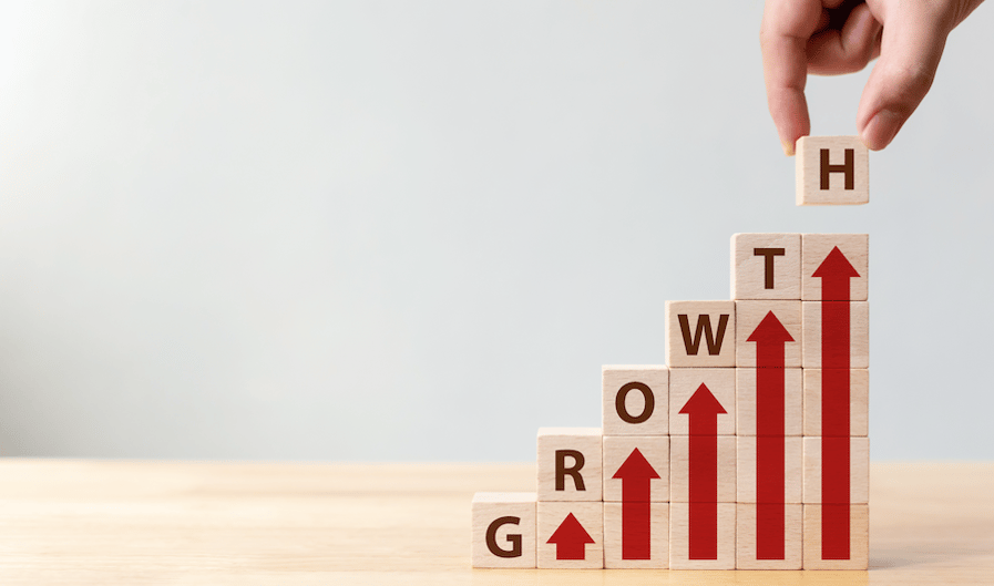 Importance of business growth