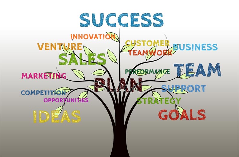 Strategies of business growth
